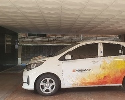 애란영스빌 한국이를 소개합니다. 