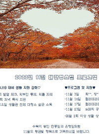 2022년 11월 프로그램 안내