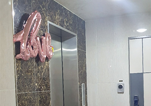 엘레베이터